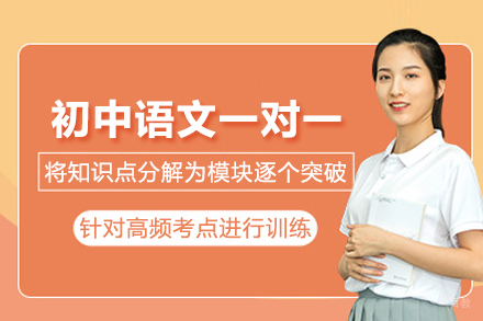 北京初中语文一对一培训班