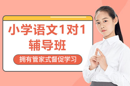 深圳小学语文1对1辅导班