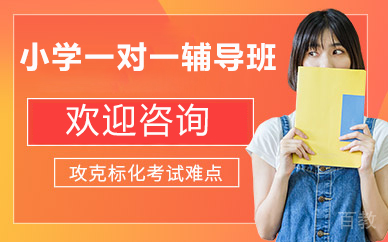 北京小学一对一辅导班