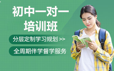 北京初中一对一培训班