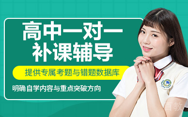 北京高中一对一补课辅导