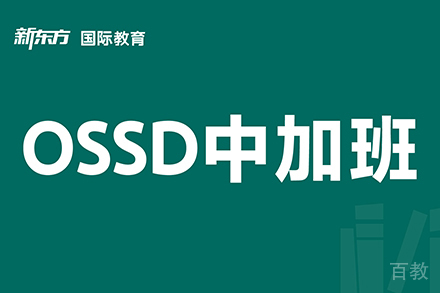 东莞OSSD留学辅导班