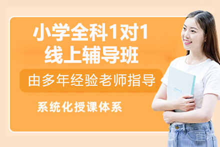 小学全科1对1线上辅导班