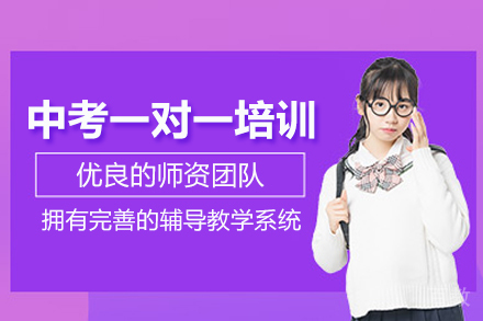 北京中考一对一培训班