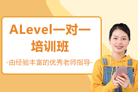深圳ALevel一对一培训班