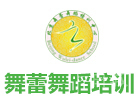 北京舞蕾舞蹈