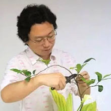 高老师