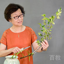庄老师